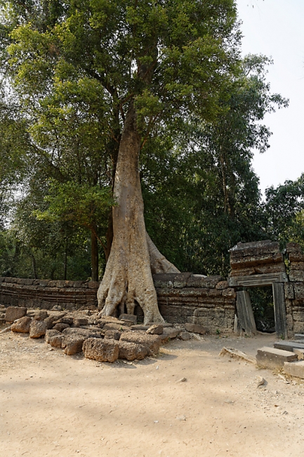 Ta Phrom et environs-032